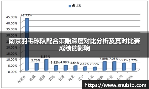 南京羽毛球队配合策略深度对比分析及其对比赛成绩的影响